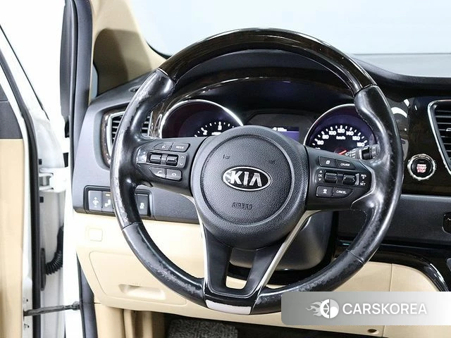 Kia The New Carnival 2018 Жемчужный цвет из Кореи, фото 6