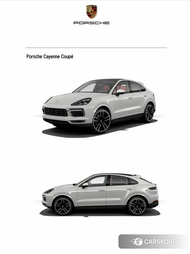 Porsche Cayenne (PO536) 2021 Серый из Кореи, фото 6