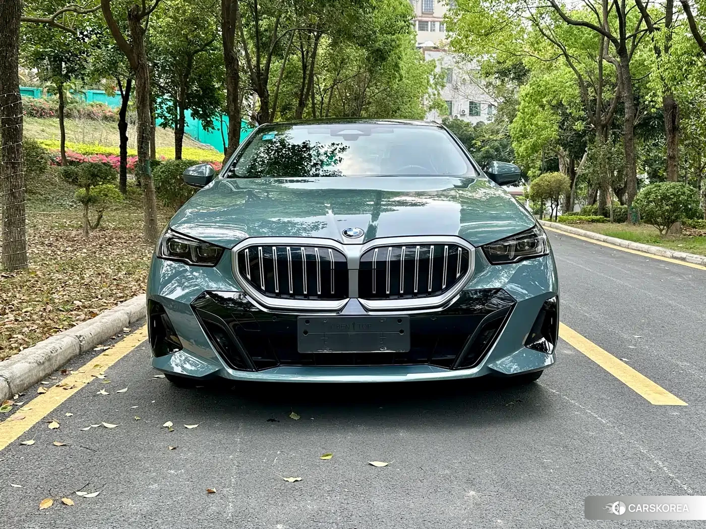 BMW 5 series 2025 Зеленый из Китая, фото 6