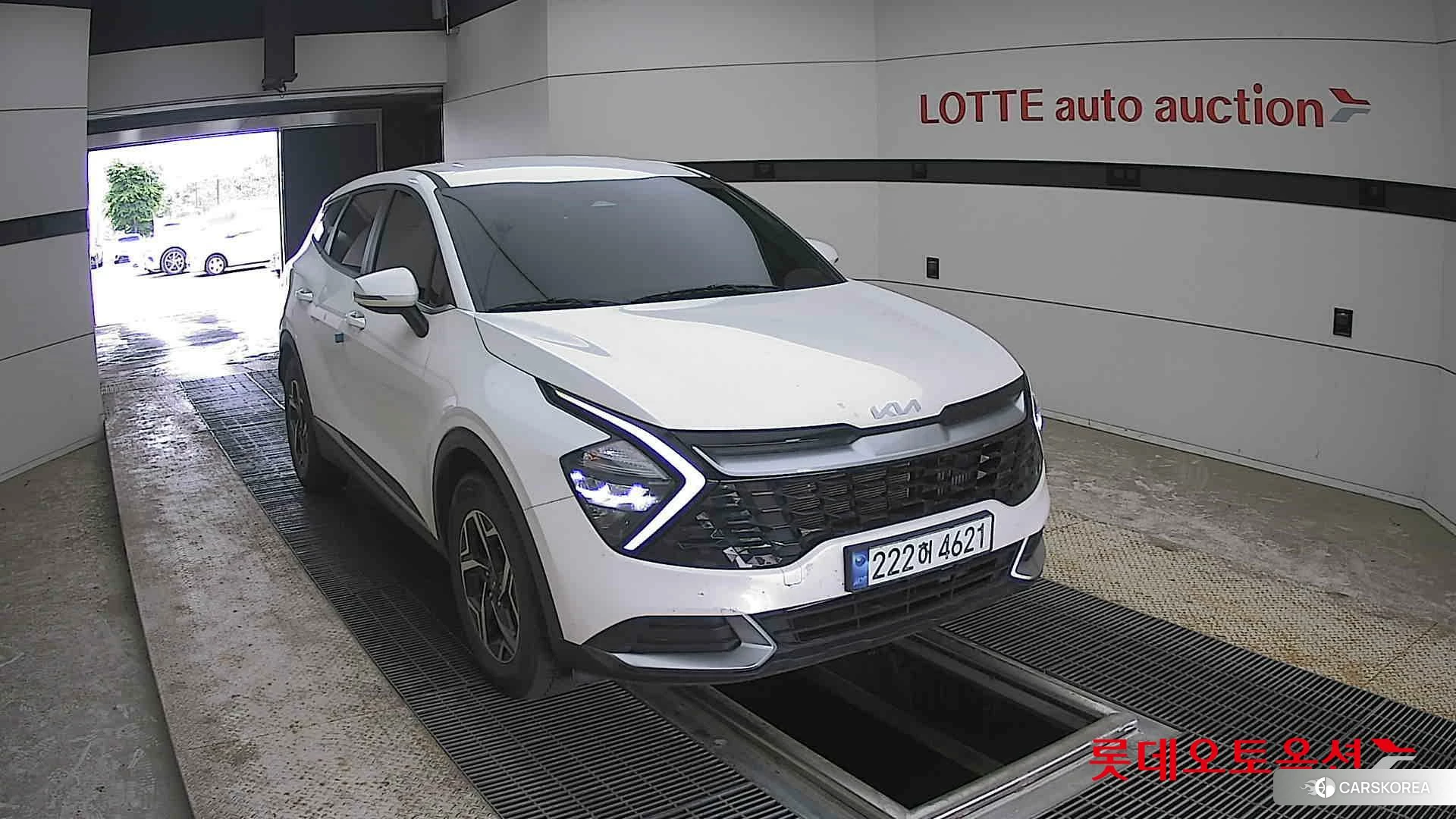 Kia Sportage 2024 Snow White Pearl из Кореи, фото 6