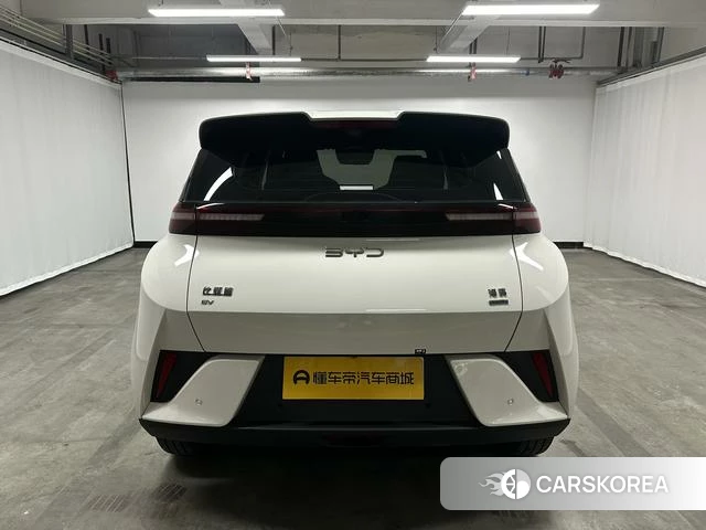 BYD Seagull 2025 Белый из Китая, фото 6