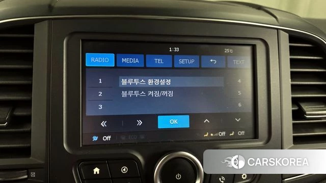 Renault Korea (Samsung) The New QM6 2020 Белый из Кореи, фото 6