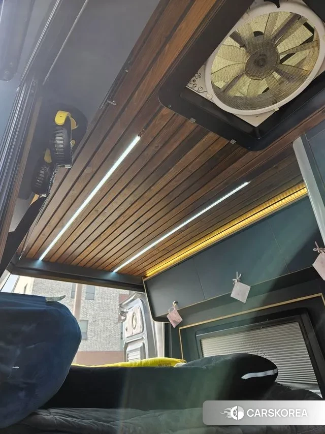 Renault Korea (Samsung) Master 2019 Черный из Кореи, фото 6