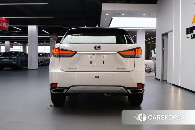 Lexus RX 2021 Белый из Китая, фото 6