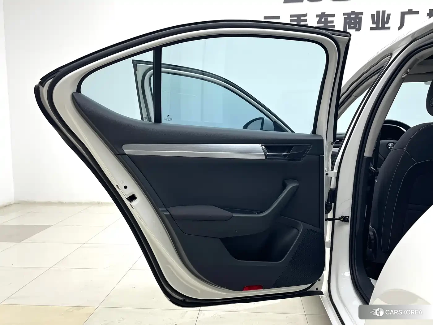 Skoda Speed pie 2022 Белый из Китая, фото 6