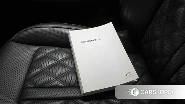 Kia Sorento 4th Generation 2020 Серый из Кореи, фото 6