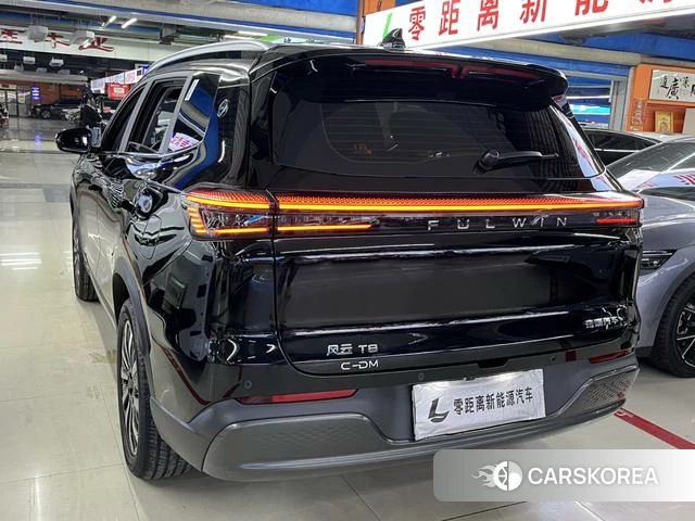 Chery Fengyun Fengyun T8 2026 Черный из Китая, фото 6