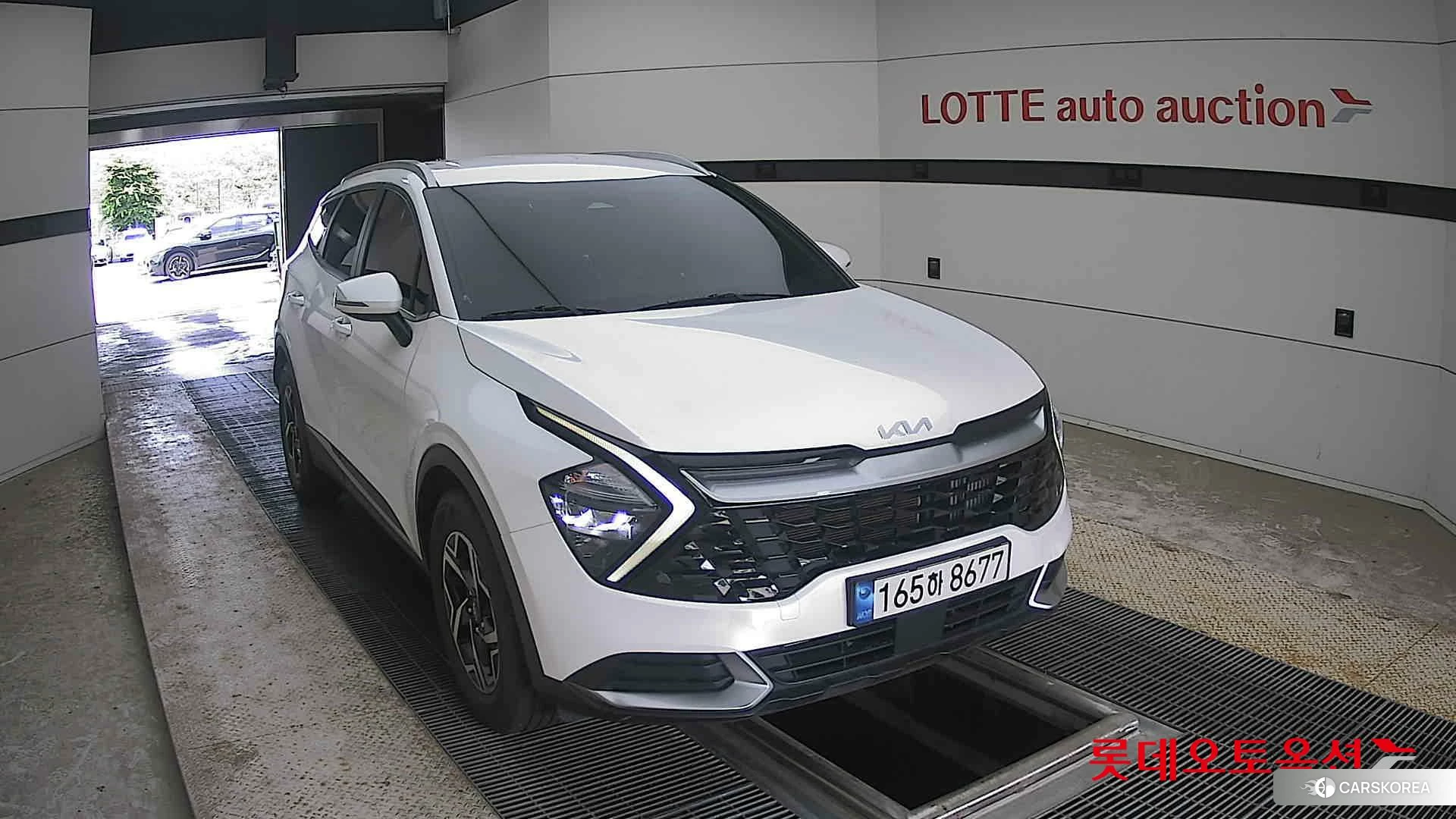 Kia Sportage 2022 Snow White Pearl (optional) из Кореи, фото 6