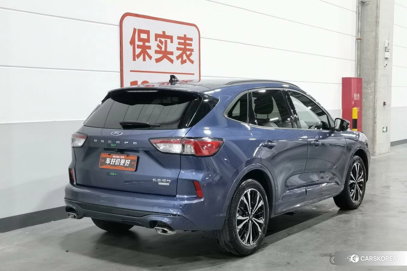 Ford Ruiji 2019 Синий из Китая, фото 6