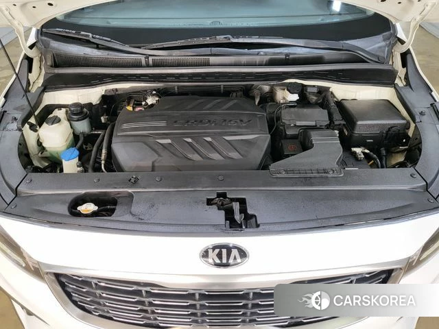 Kia The New Carnival 2018 Жемчужный цвет из Кореи, фото 6