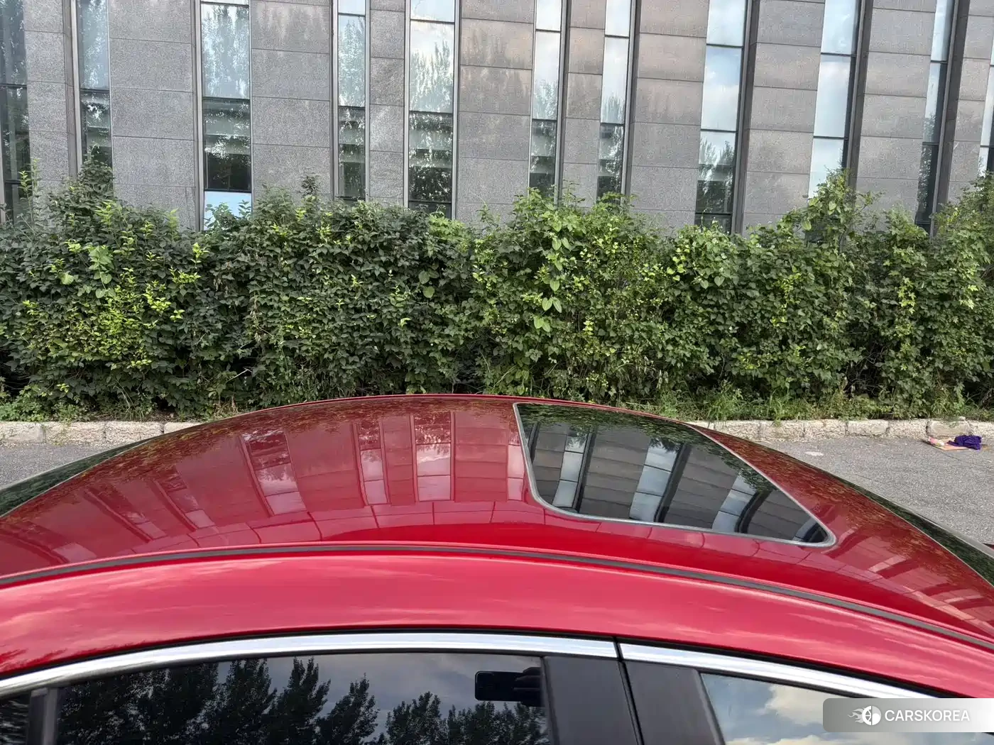 Mazda 3 2023 Red/purple из Китая, фото 6