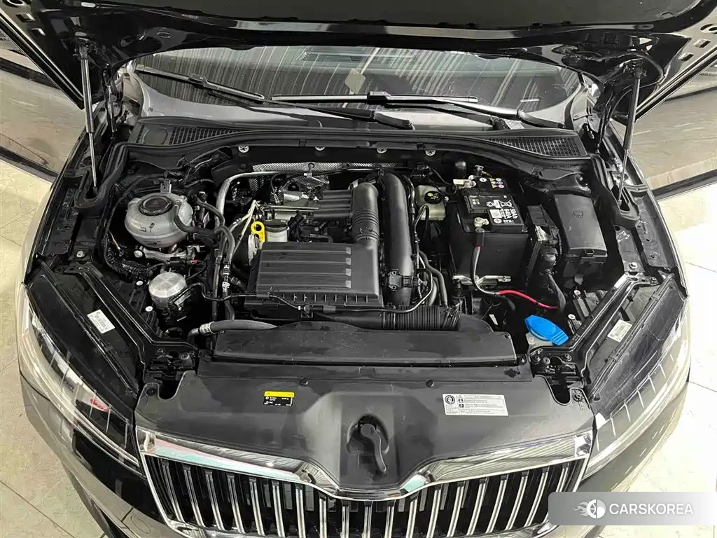 Skoda Speed pie 2024 Черный из Китая, фото 6