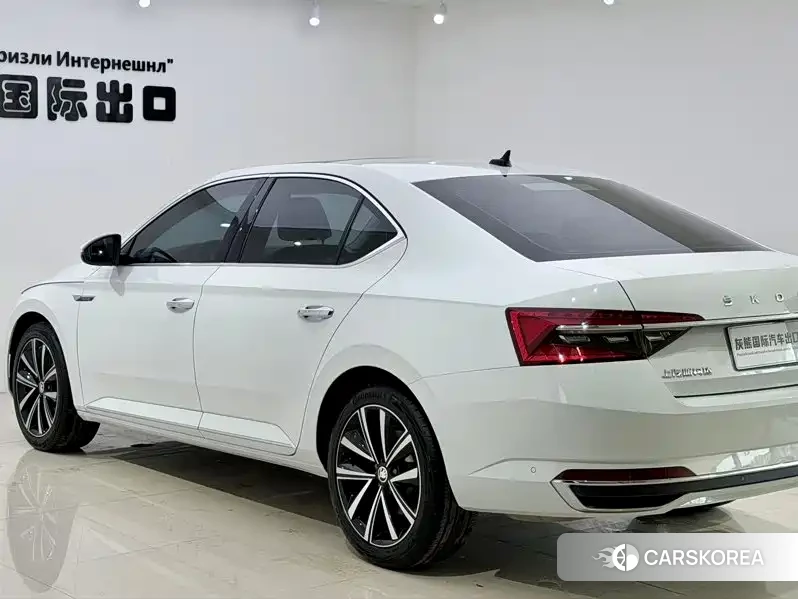 Skoda Speed pie 2023 Белый из Китая, фото 6