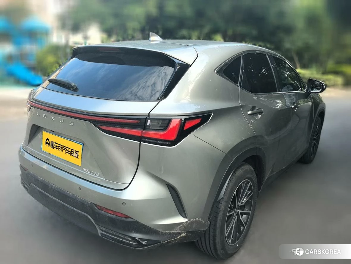Lexus NX 2023 Серебристо-серый из Китая, фото 6