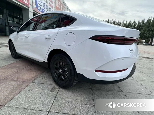 BYD Qin PLUS DM 2025 Белый из Китая, фото 6