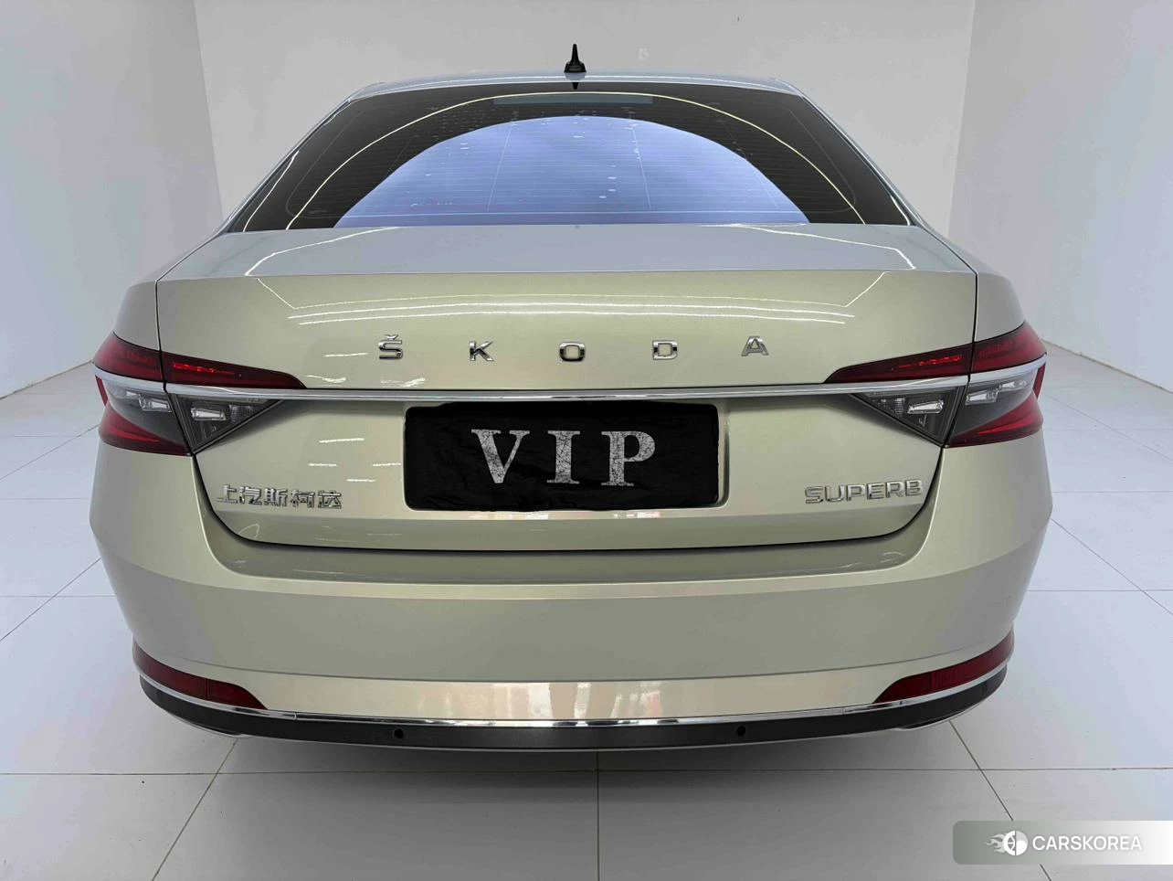 Skoda Speed pie 2022 Шампань из Китая, фото 6