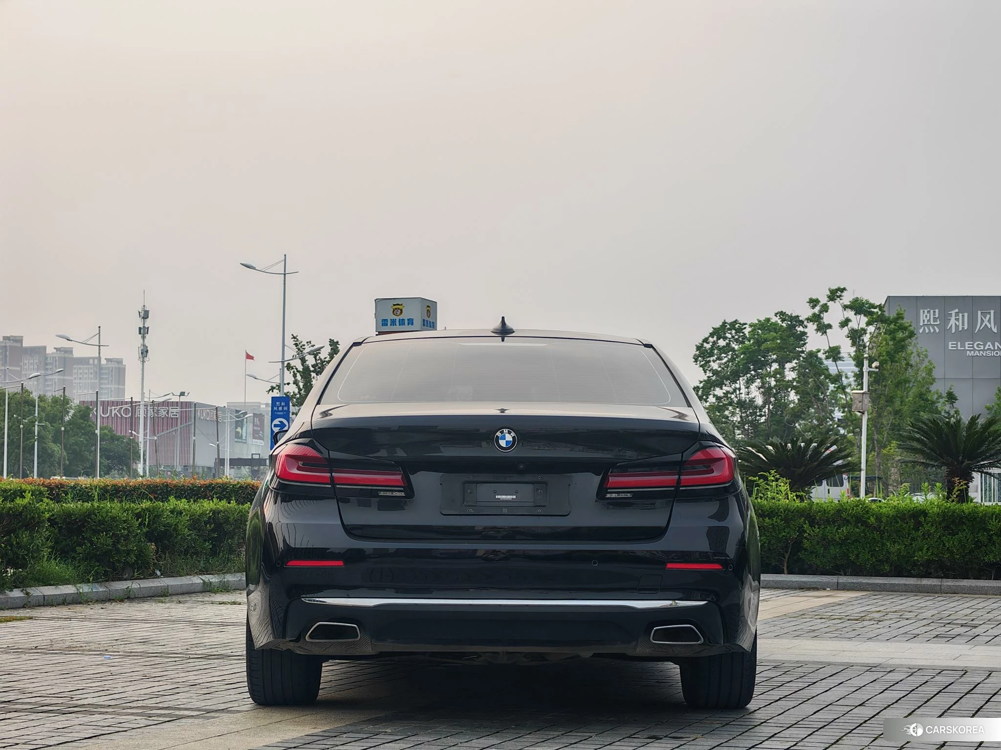 BMW 5 series PHEV 2020 Черный из Китая, фото 6