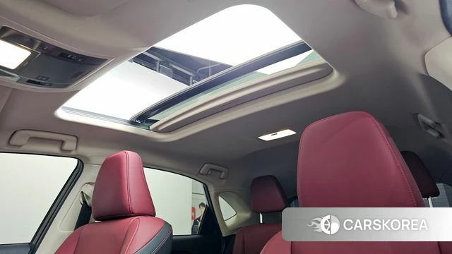 Lexus NX300h 2019 Белый из Кореи, фото 6