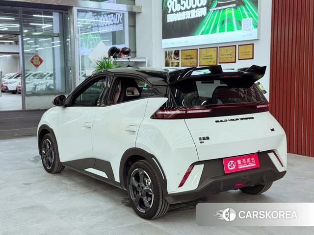 BYD Seagull 2024 Другой из Китая, фото 6
