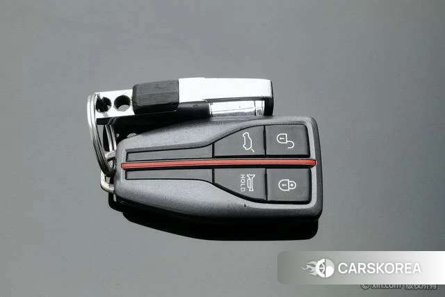 Red flag HS7 2021 Черный из Китая, фото 6