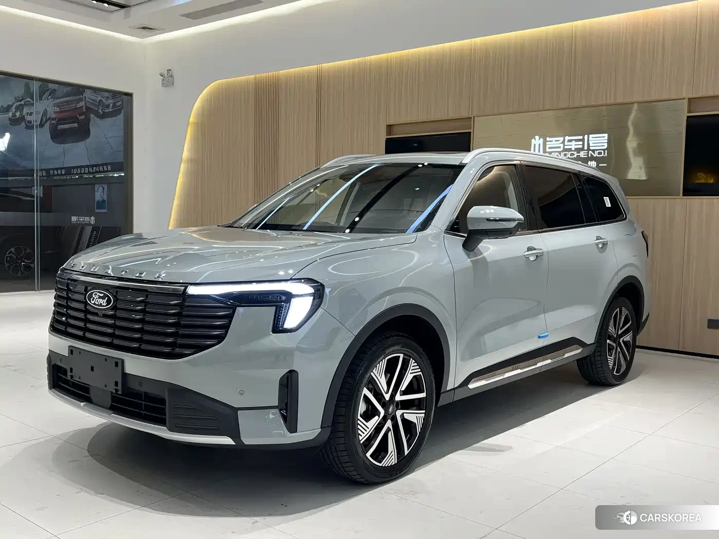 Ford Lingyu New Energy 2026 Silver/gray из Китая, фото 6
