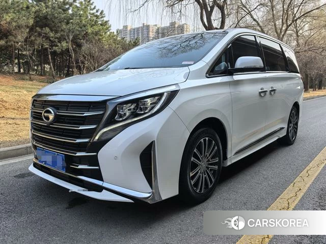 GAC Trumpchi Trumpchi M8 2020 Белый из Китая, фото 6