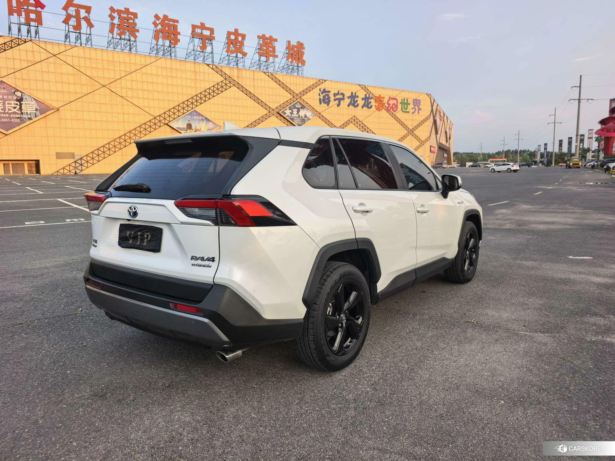 Toyota RAV4 Rongfang 2020 Белый из Китая, фото 6