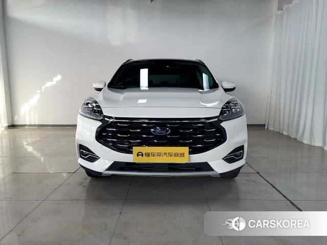 Ford Ruiji 2023 Белый из Китая, фото 6