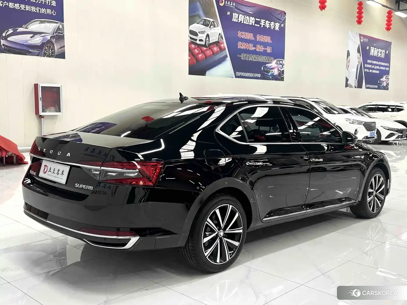 Skoda Speed pie 2024 Черный из Китая, фото 6