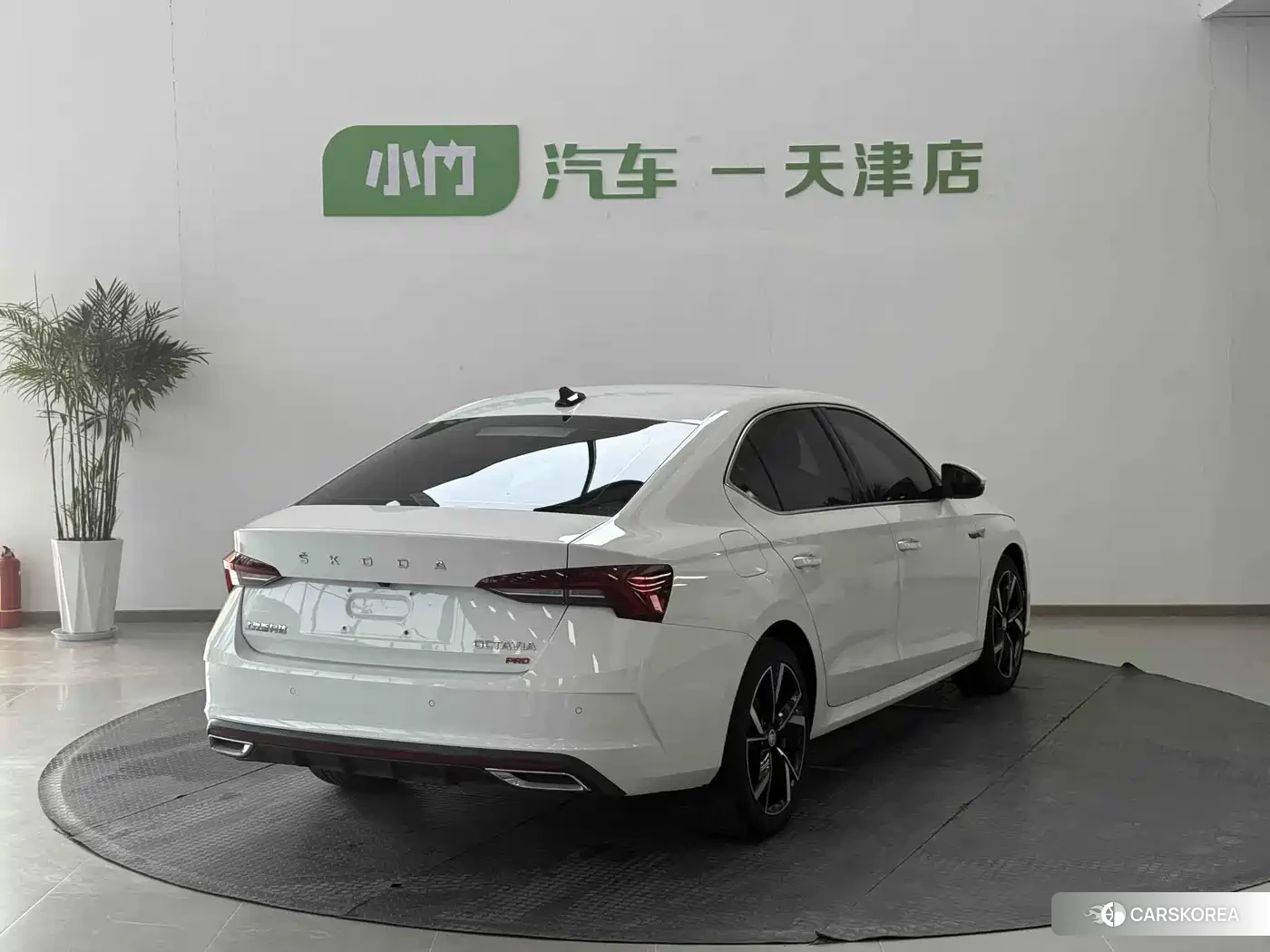 Skoda Octavia 2022 Белый из Китая, фото 6