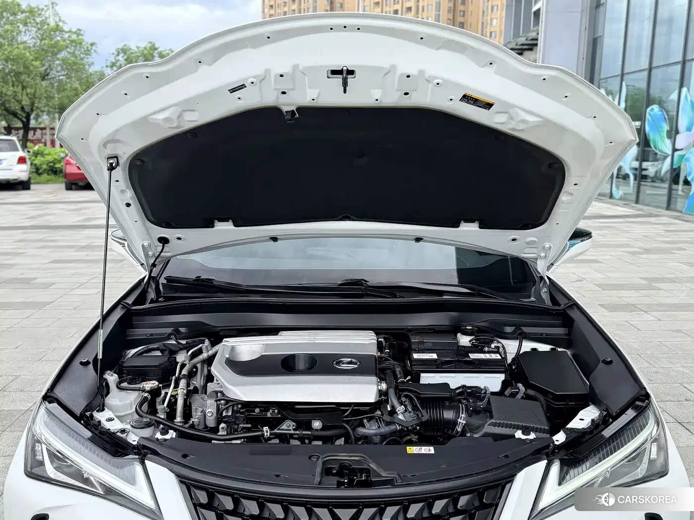 Lexus UX 2022 Белый из Китая, фото 6
