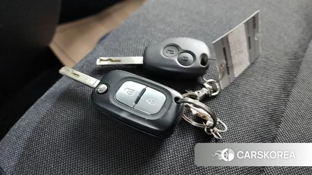 Renault Korea (Samsung) Master 2020 Серебряный из Кореи, фото 6