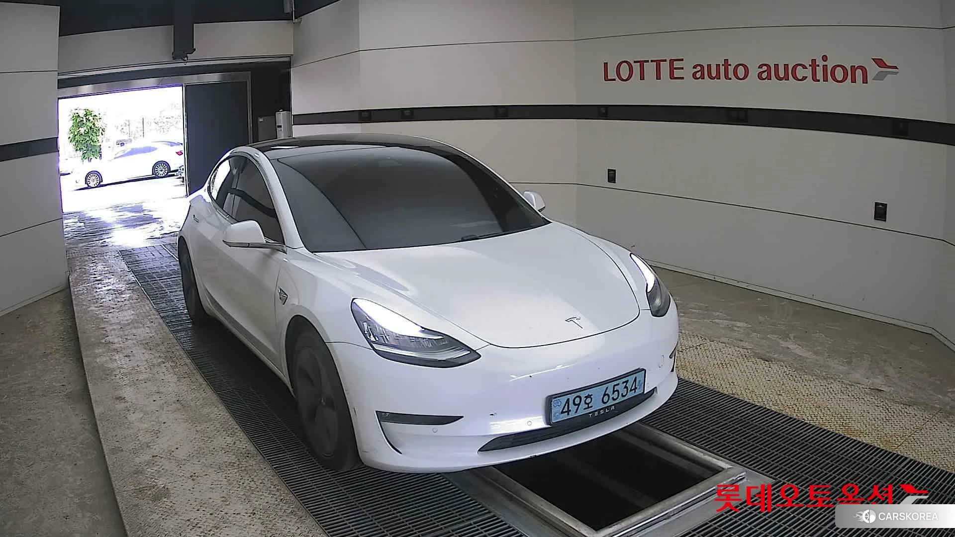 Tesla Model 3 Long Range 2020 Pearl White Multi-coat из Кореи, фото 6