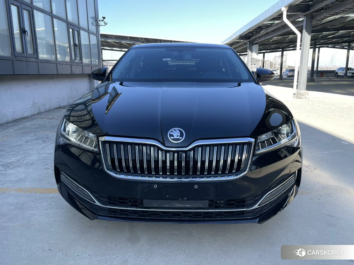 Skoda Speed pie 2023 Черный из Китая, фото 6