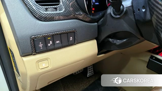 Kia The New Carnival 2019 Белый из Кореи, фото 6