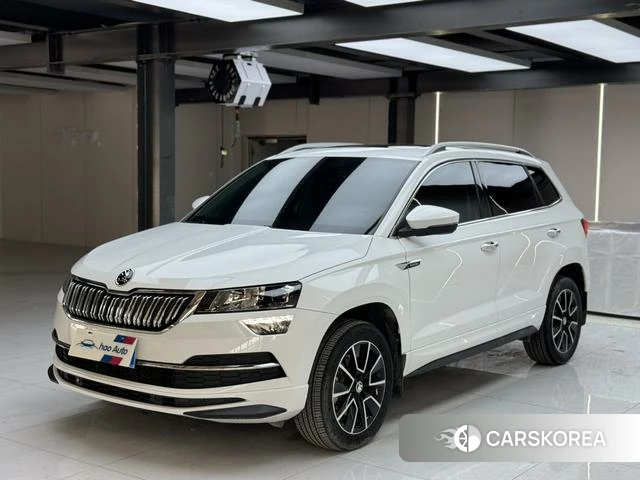 Skoda Krok 2023 Белый из Китая, фото 6