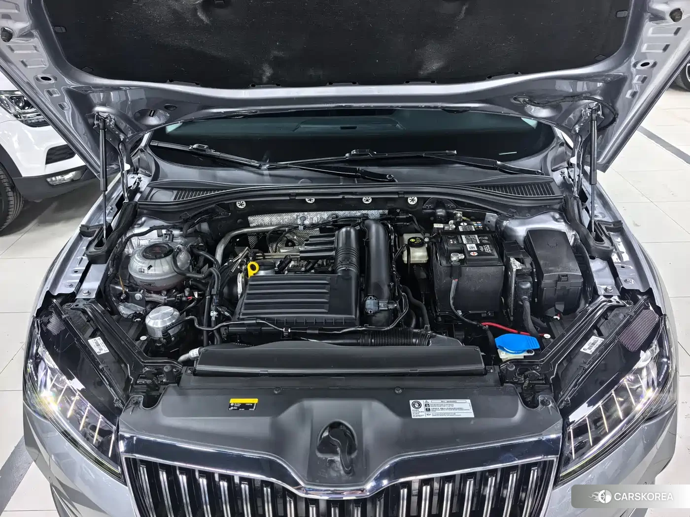 Skoda Speed pie 2023 Silver/gray из Китая, фото 6