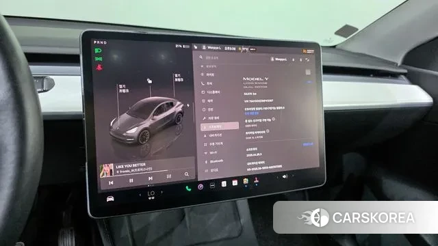 Tesla Model Y 2022 Серый из Кореи, фото 6