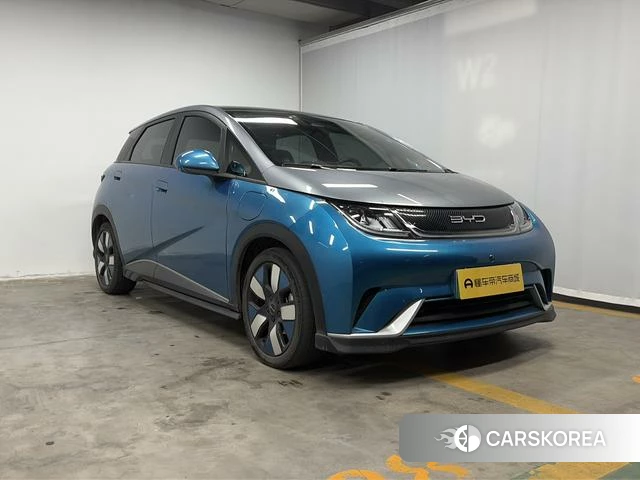 BYD dolphin 2022 Другой из Китая, фото 6