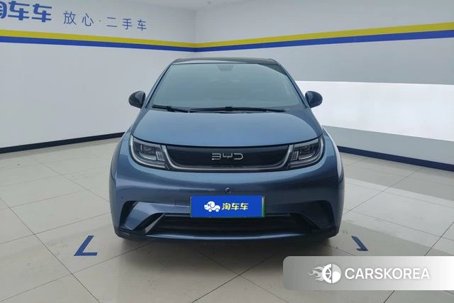 BYD dolphin 2025 Темно-серый из Китая, фото 6