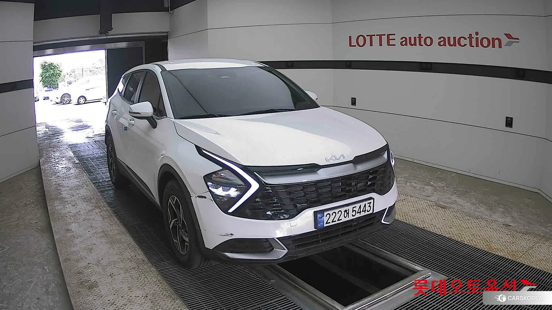 Kia Sportage 2024 Snow White Pearl из Кореи, фото 6