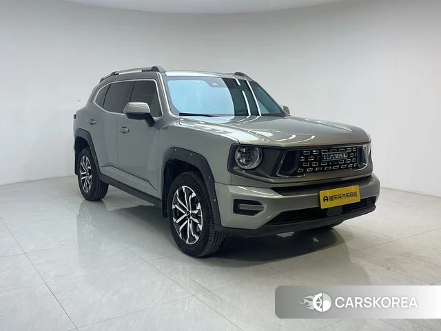 Haval Big Dog PLUS 2024 Серебристо-серый из Китая, фото 6