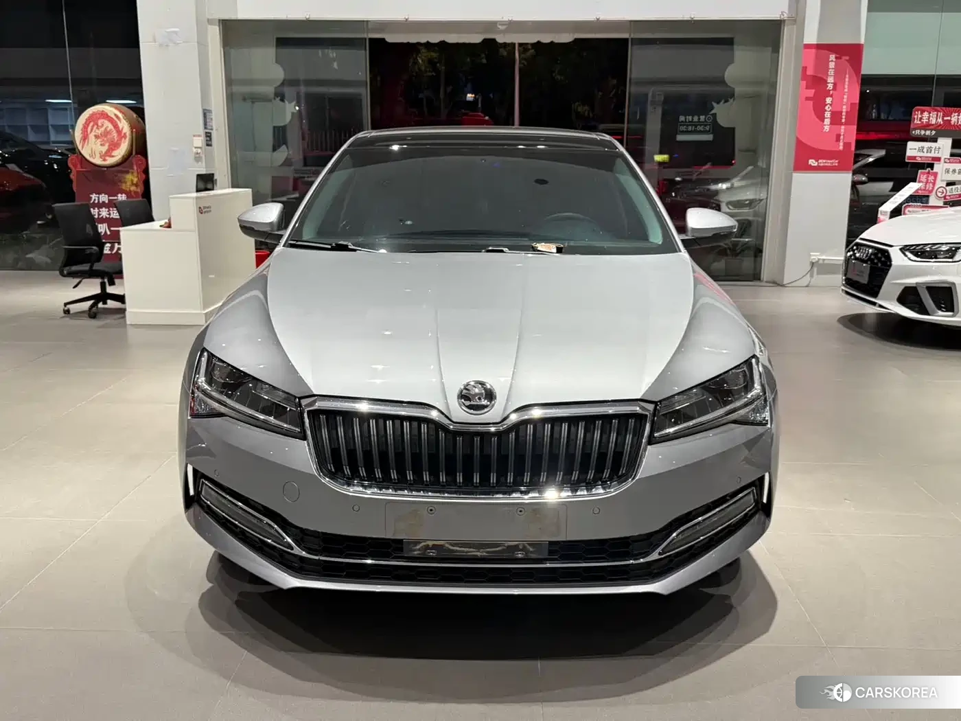 Skoda Speed pie 2023 Silver/gray из Китая, фото 6