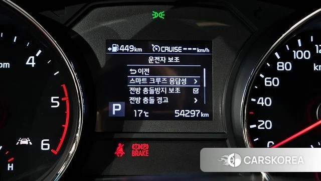 Kia The New Carnival 2019 Белый из Кореи, фото 6