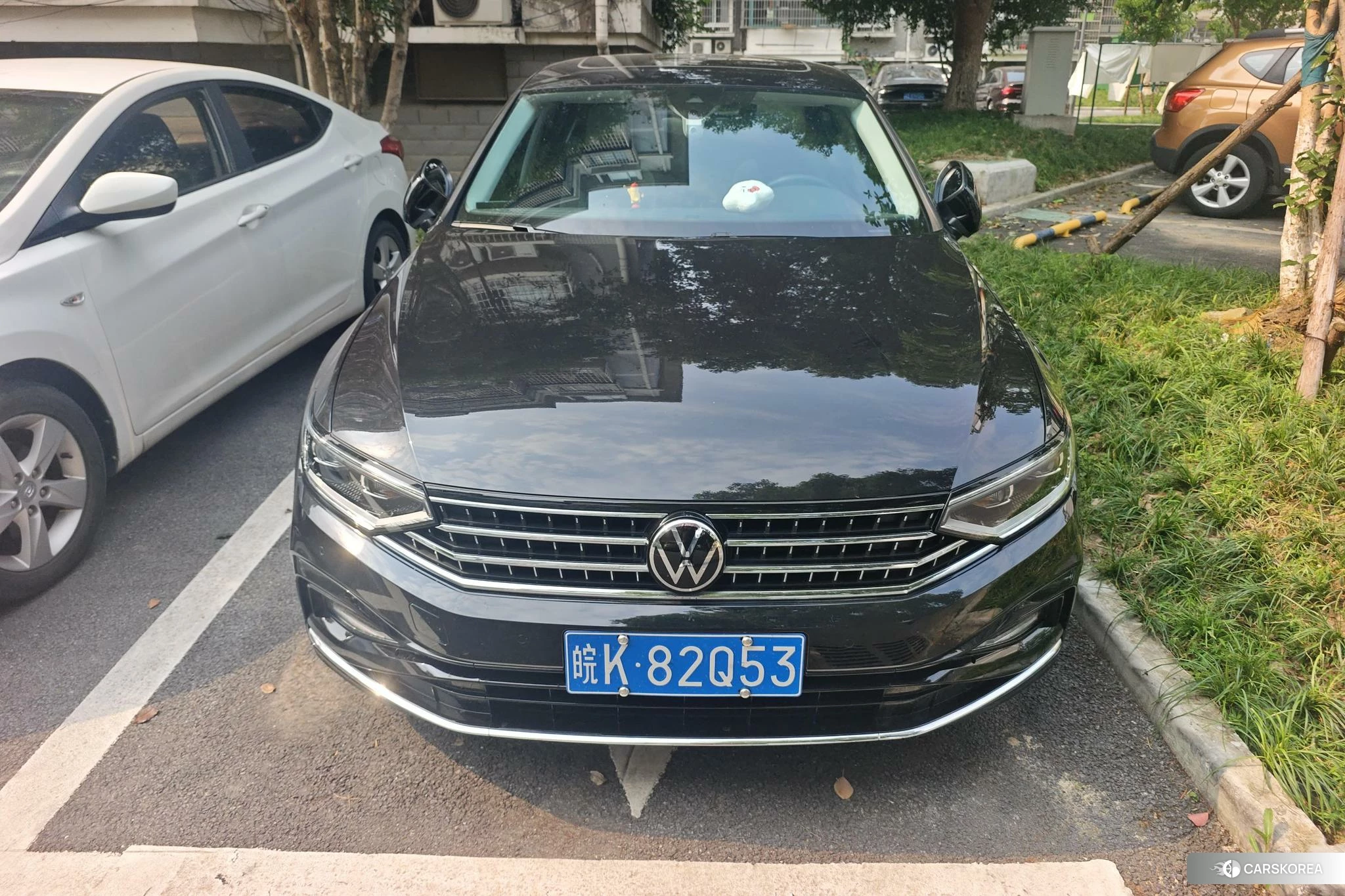 Volkswagen Magotan 2024 Черный из Китая, фото 6