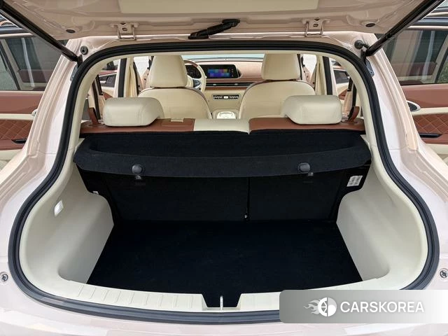 Euler Good cat 2023 Другой из Китая, фото 6