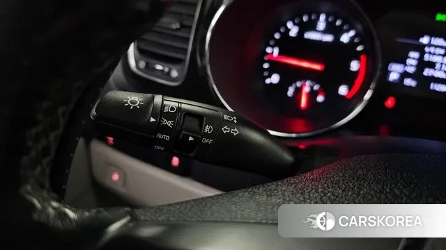 Kia The New Carnival 2019 Белый из Кореи, фото 6