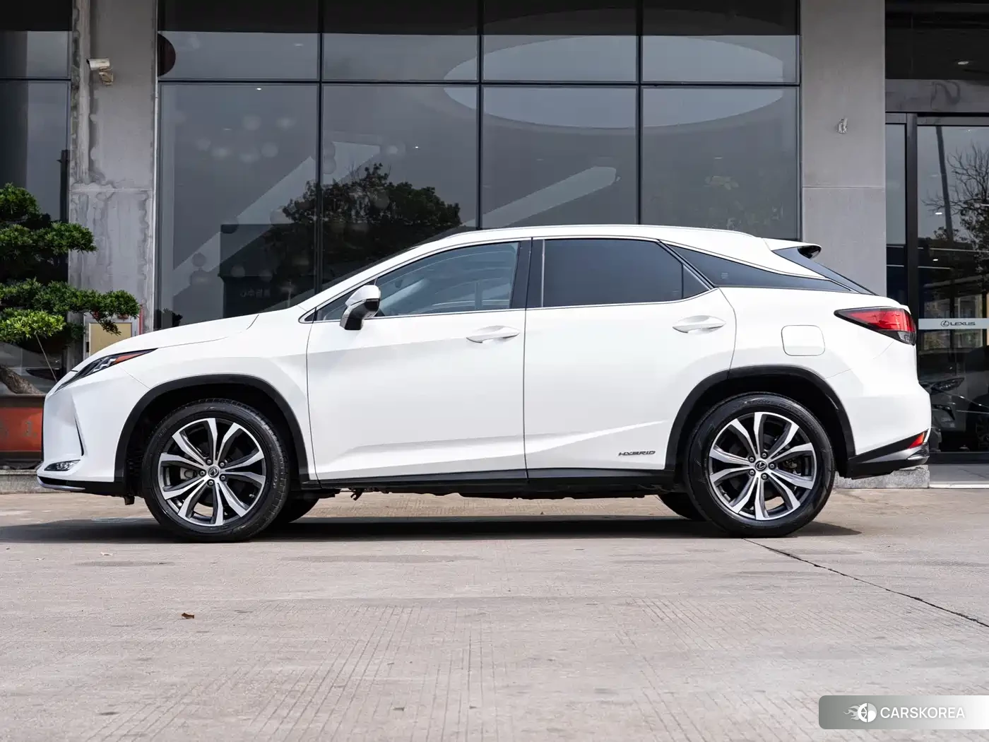Lexus RX 2019 Белый из Китая, фото 6
