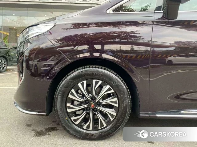 Red flag HQ9 PHEV 2025 Черный из Китая, фото 6