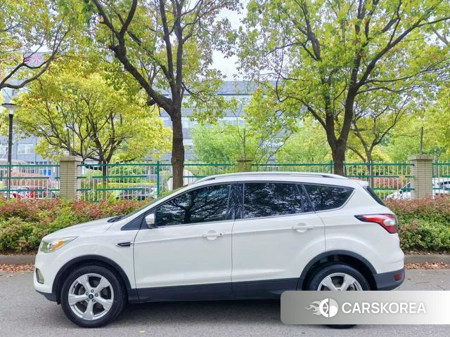 Ford Winged Tiger 2018 Белый из Китая, фото 6